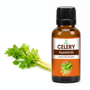 Celery Oil
