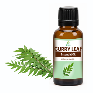 Curry Leaf Oil