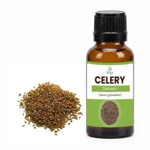 Celery Oleoresin