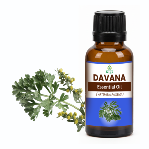 Davana Oil