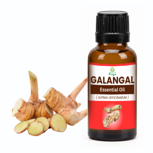 Galangal Oil