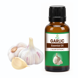 Garlic Oil