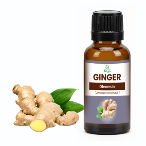 Ginger Oleoresin