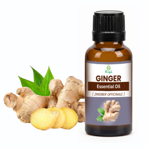 Ginger Oil