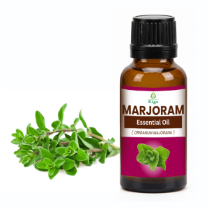Marjoram Oil