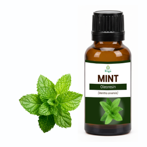 Mint Oleoresin