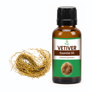 Vetiver Oil